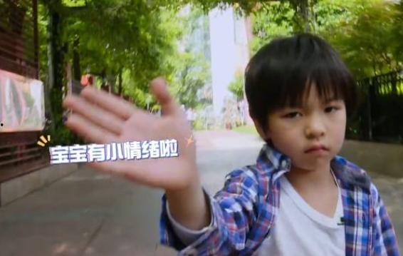 张庭赚钱爆料视频在线观看,揭秘她如何通过视频在线观看赚取巨额财富  第2张